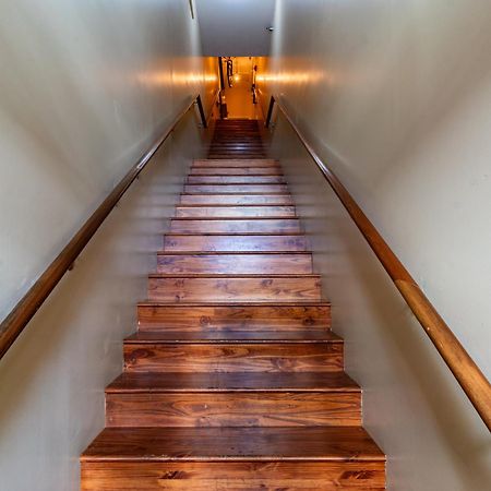 Apartament Jolene'S Hideout Knoxville Zewnętrze zdjęcie